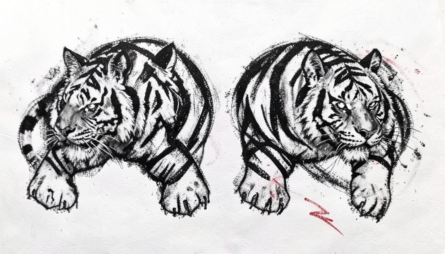 A bold charcoal drawing of a twin tiger Sak Yant design — two tigers facing outward with dynamic, muscular forms, drawn in heavy black strokes with expressive shading.